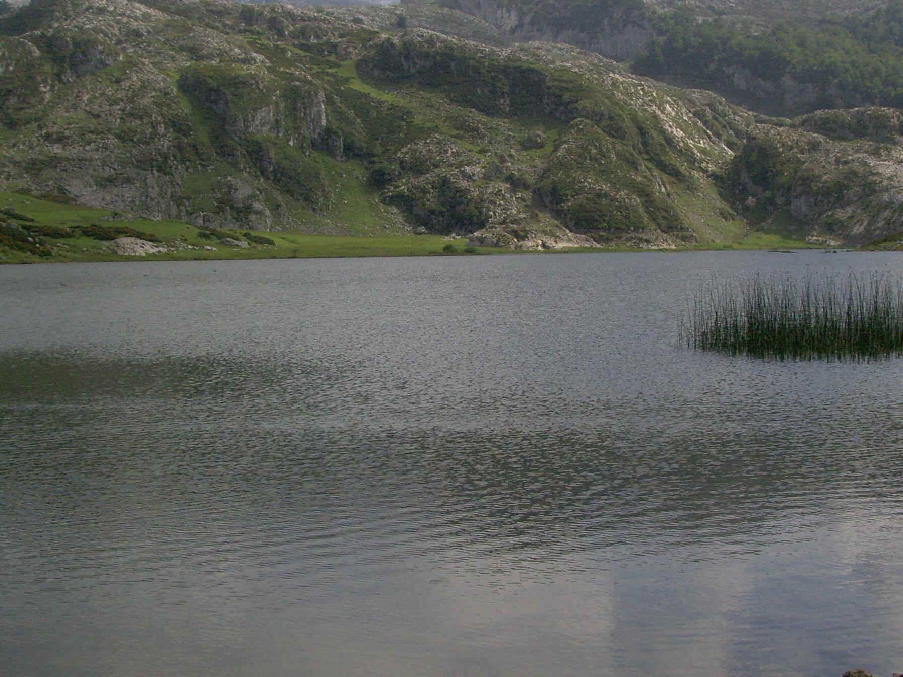 En un lago existe una gran diversidad de especies. Imagen: De Mier y Leva.