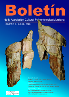 Boletn de la Asociacin  Cultural Paleontolgica Murciana, Nmero 9 - Pulsar para abrir