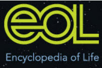 EOL, enciclopedia online sobre la vida en la Tierra