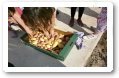 CEIP Ntra Sra de los Ángeles: Patatas en el huerto escolar