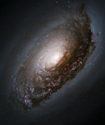 Galaxia del Ojo Negro (M64 o NGC 4826)