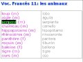 Francés vocabulario 11 - les animaux