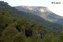 Parque Regional de Sierra Espuña