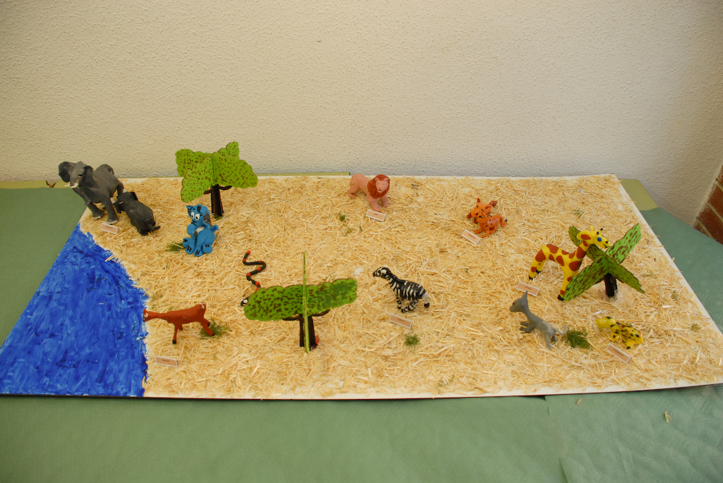 Educarm - Maquetas de Biología en el IES Miguel Hernández de Alhama Educarm - Maquetas de Biología en el IES Miguel Hernández de Alhama