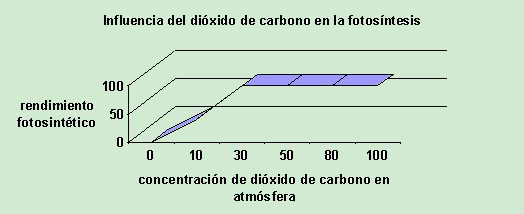 "Influencia del dióxido de carbono en la fotosíntesis"