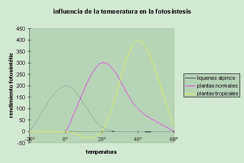 "Influencia de la temperatura en la fotosíntesis"