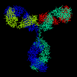 Dibujo esquemtico de la estructura de una inmunoglobulina