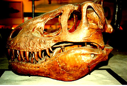Dinosaurios