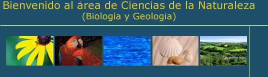 Bienvenido al área de Ciencias de la Naturaleza (Biología y Geología)