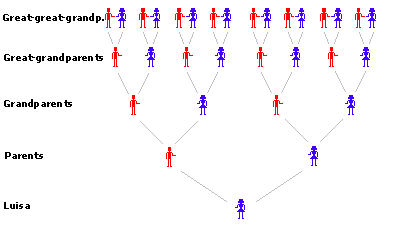 familia.gif (4016 bytes)