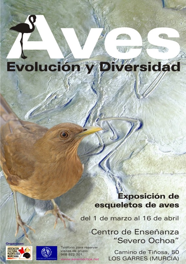 Cartel de la exposicin