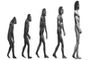 Claves de la Evolucin Humana
