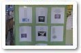 CEIP N.S. de los Ángeles. Actividades Día de la Paz