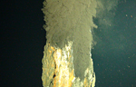 Primera imagen tomada de la fumarola negra. | National Oceanography Centre