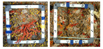 Comparación de coral rojo en una reserva marina (i) con otra zona sin protección. | J. Garrabou.