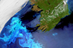El azul eléctrico, el plancton captado desde el satélite "Envisat".|ESA