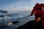 Un investigador coloca un radiomarcador a una ballena jorobada. | Alison Stimpert