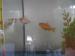 Imágenes del Aula Granja