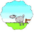 ani_084.gif